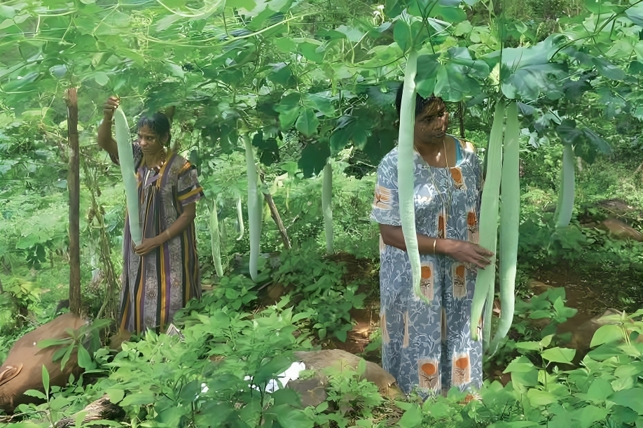 Good spot in Kerala for a peaceful retired life